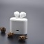 OEM-BL102 Wireless Earphone(5)